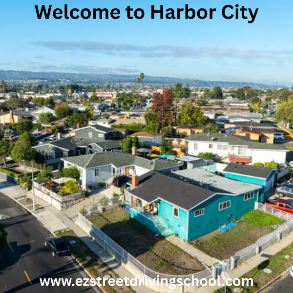 Driving Lessons in Harbor City